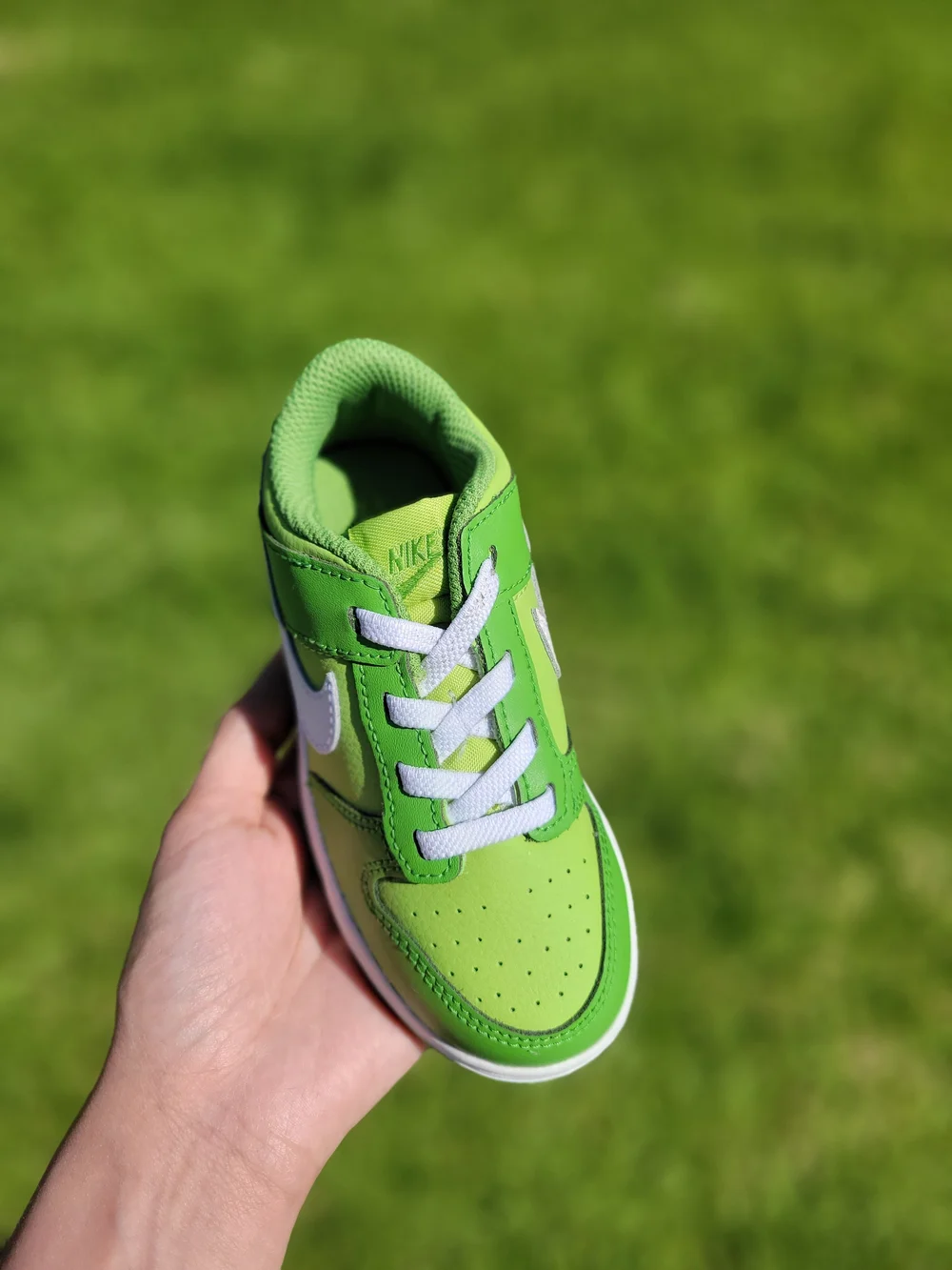 Nike Dunk Low 